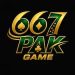 667 PAK Game