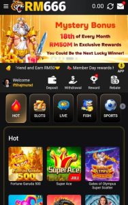 RM666 Game