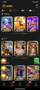 ER666 Game