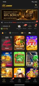 ER666 Game