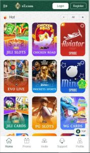 Z7 Game